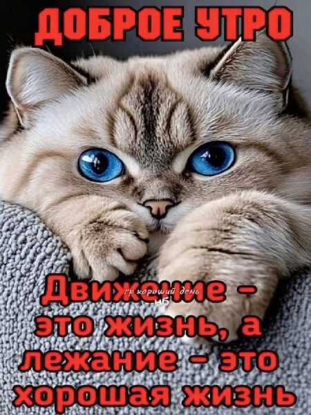 Хорошая жизнь