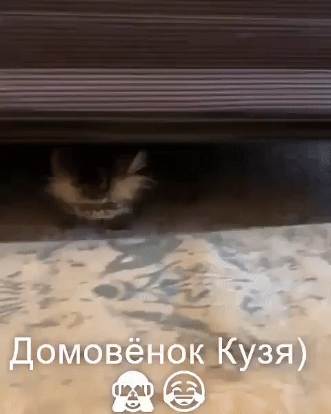 IMG 20230312 083006