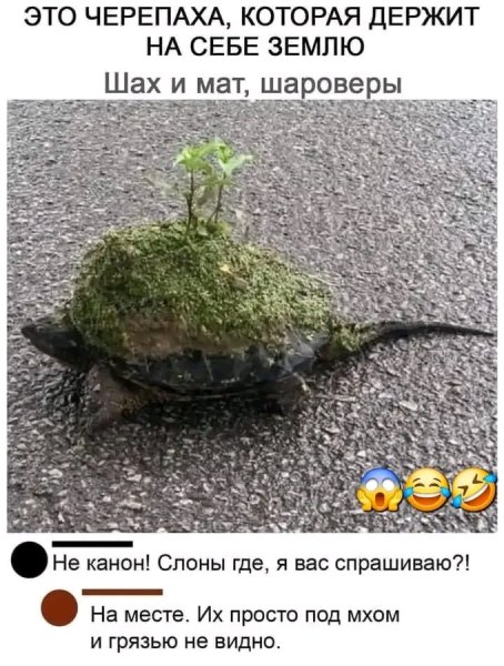 file_103411786