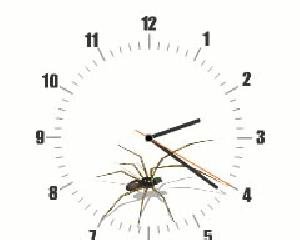 Clock Spider