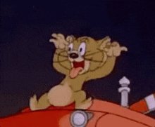 Tom-and-jerry-jerry-laugh