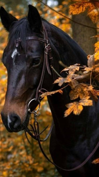 file_102140188