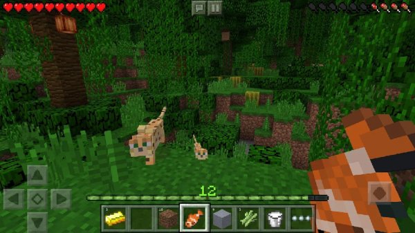 Майнкрафт v1.2.20 [BUILD 1]