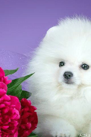file_76394232