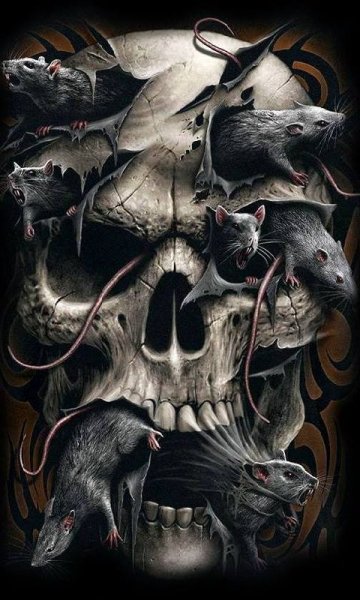 Scull 7891