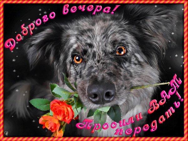 file_75007539