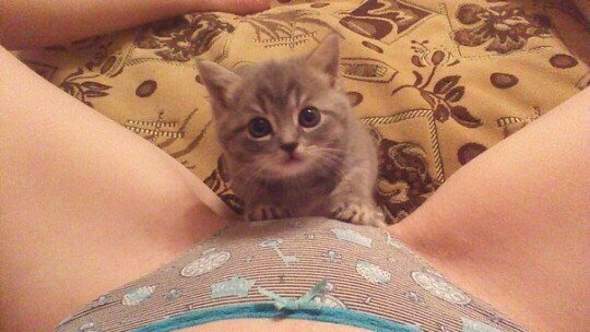 B6w1XBCBB54