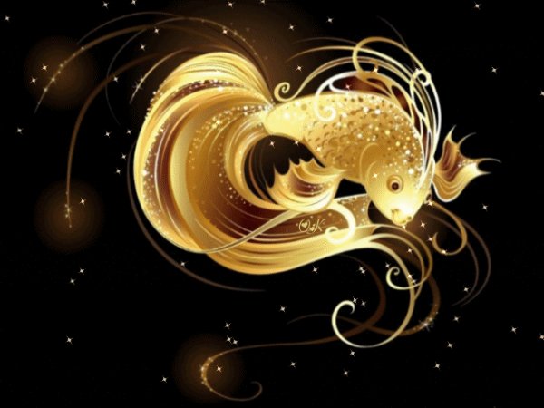 Golden Fish