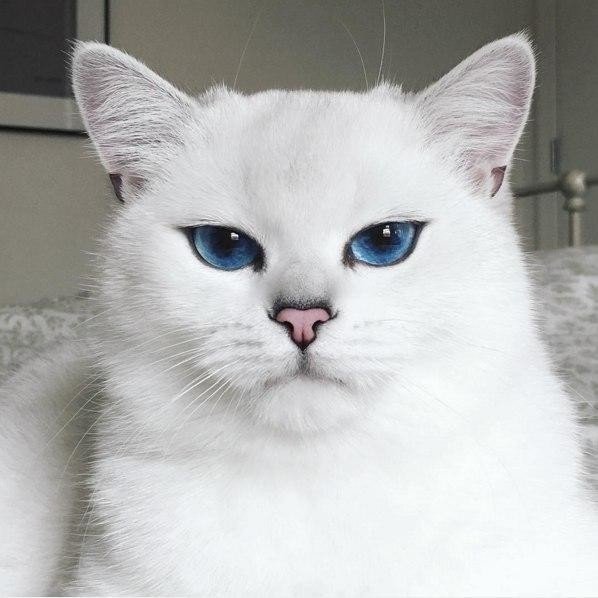 image0у