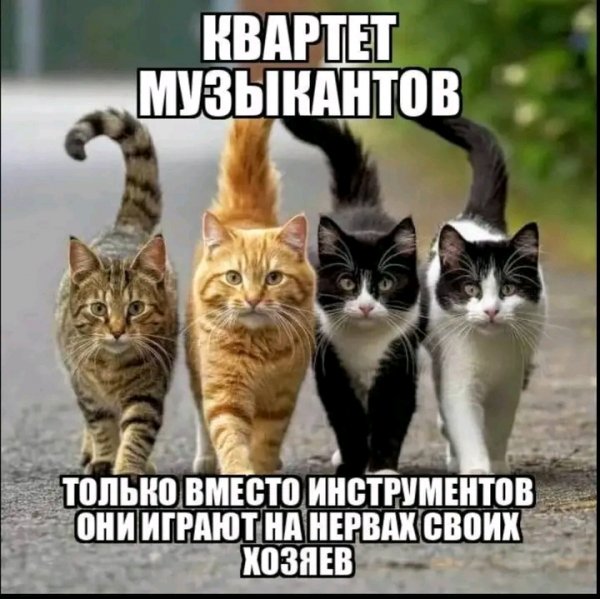 file_103241942