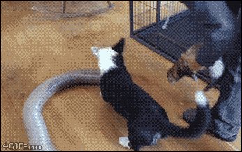 ))