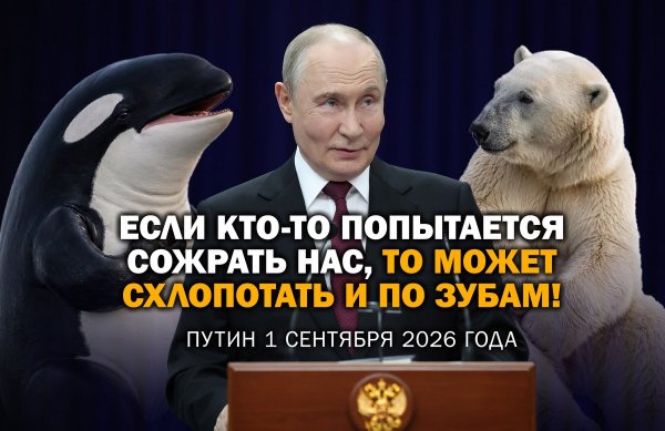 file_103438257