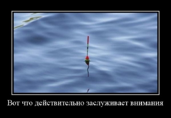 Вот что заслуживает внимания