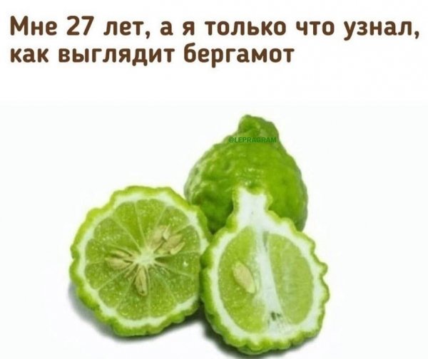 Бергамот
