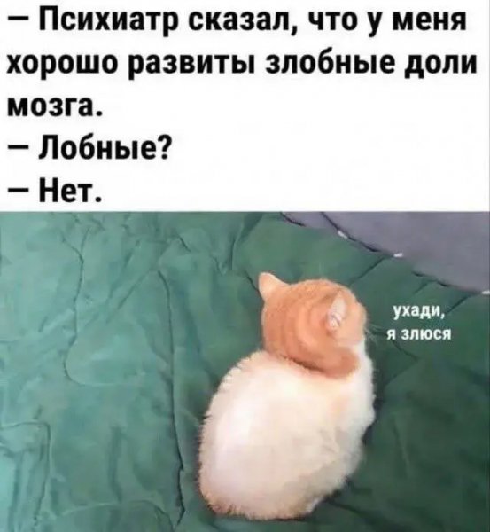 file_100834628