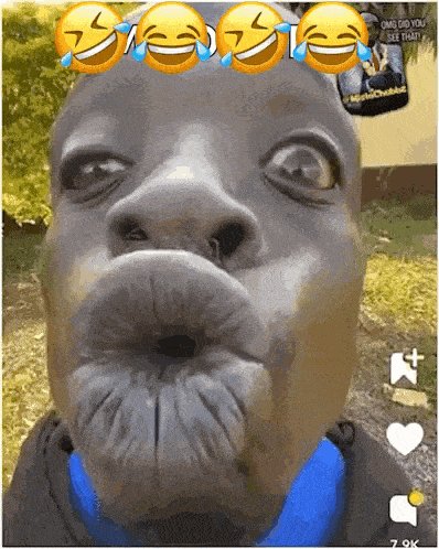 Kiss