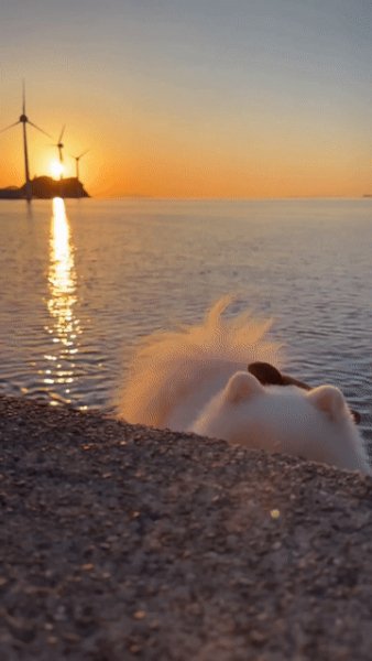IMG 20240419 182054