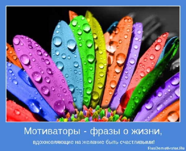 МОТИВАТОРЫ - фразы о жизни...
