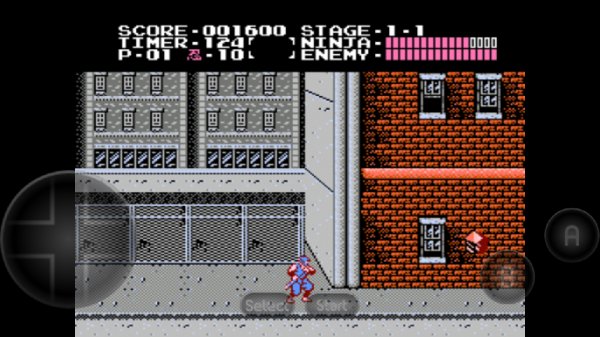 Ninja Gaiden
