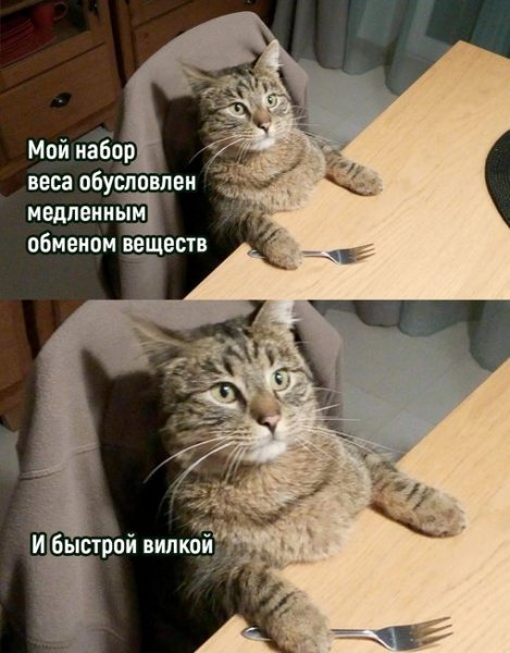 file_101392885