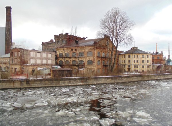 file_95043909