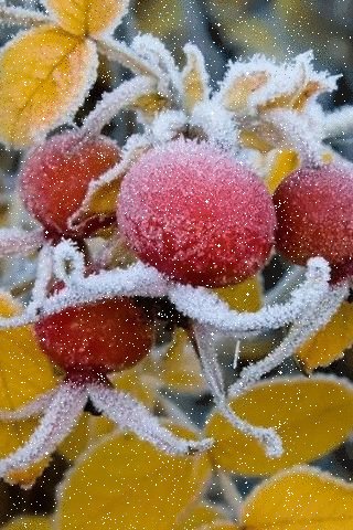 file_94916740