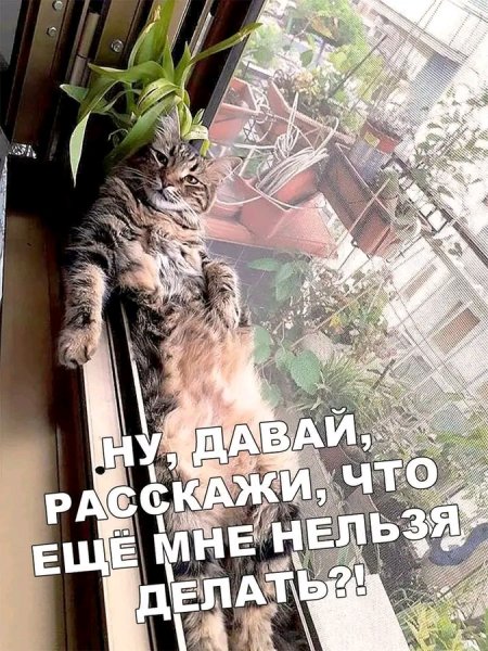 file_103381175