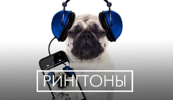 (Рингтон) Глюкоза - Юра