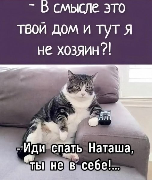 file_99211447