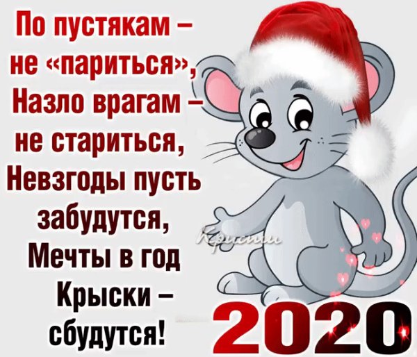 IMG 20191221 215148