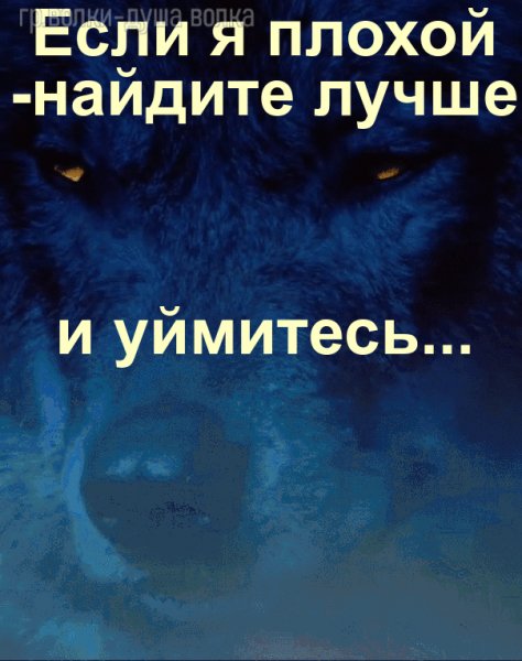 IMG 20241009 094706