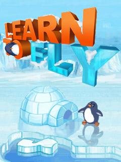 learn to fly