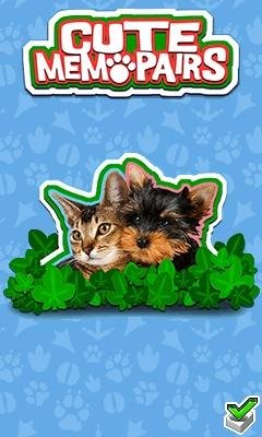 Cute Memo Pairs