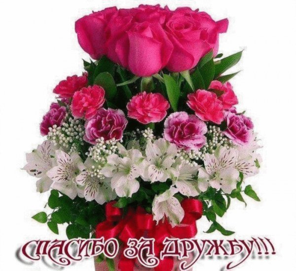 file_46196644