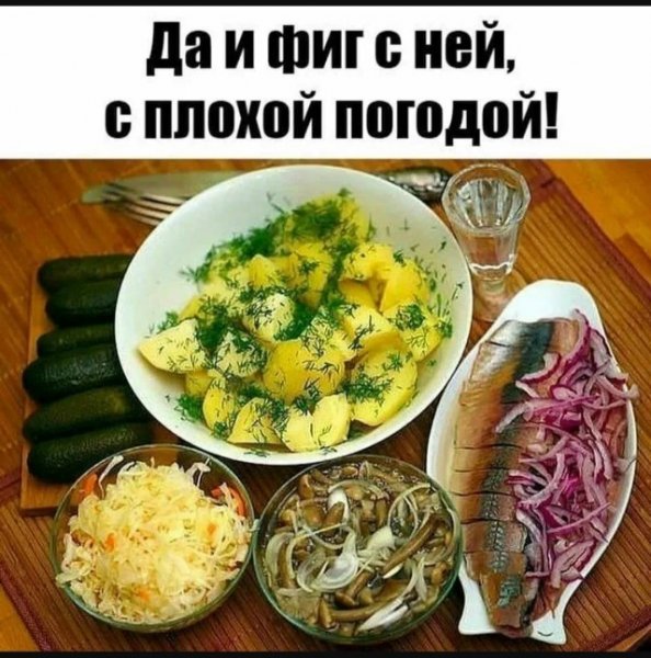 file_103327004