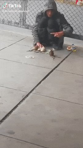 ))
