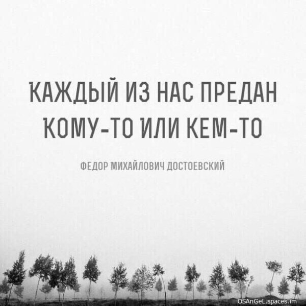FB IMG 1688487788300-