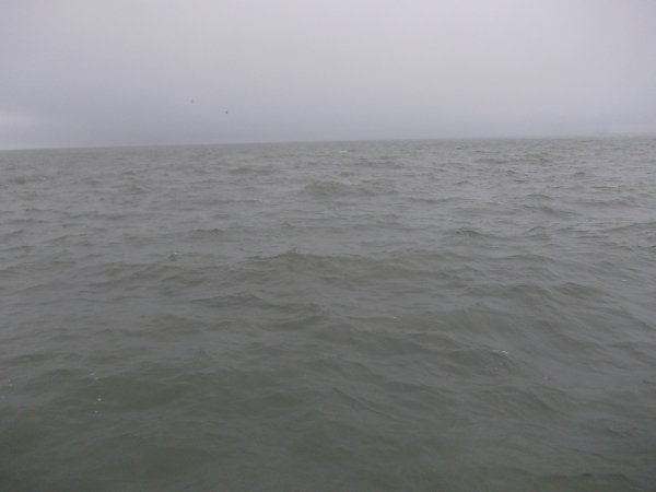 DSCN0907