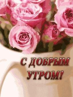 Доброе утро просыпайся умыывайся... шуто