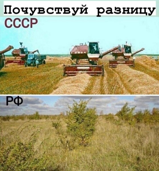 pxedfNQ89sw