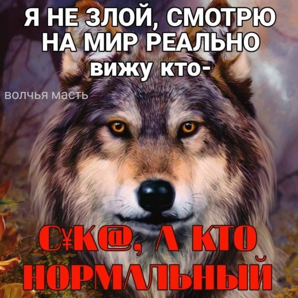 e1b119d9db148673070bfe12333c2