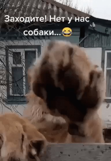 IMG 20240119 221111