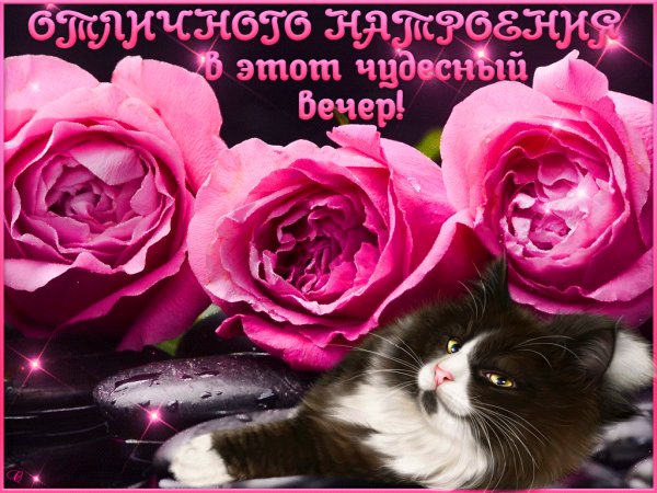file_72764611