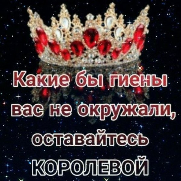 7afbc485eceee7254bef1b8bcd9104c5
