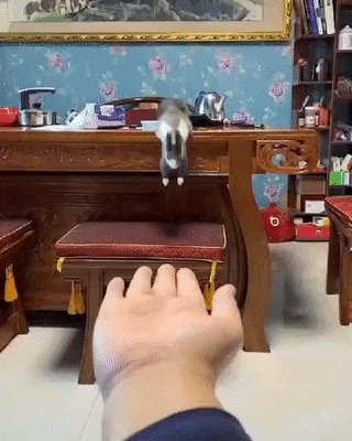 Прыжок)