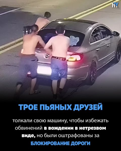 Nayka ycnexa f4d8b0e81afc462b