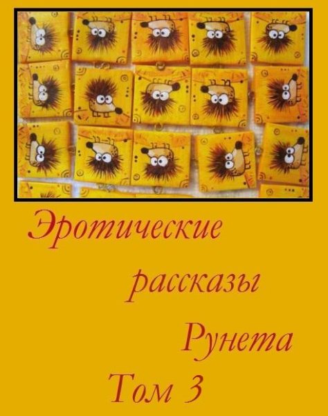 Eroticheskie rasskazyi Runeta. Tom 3
