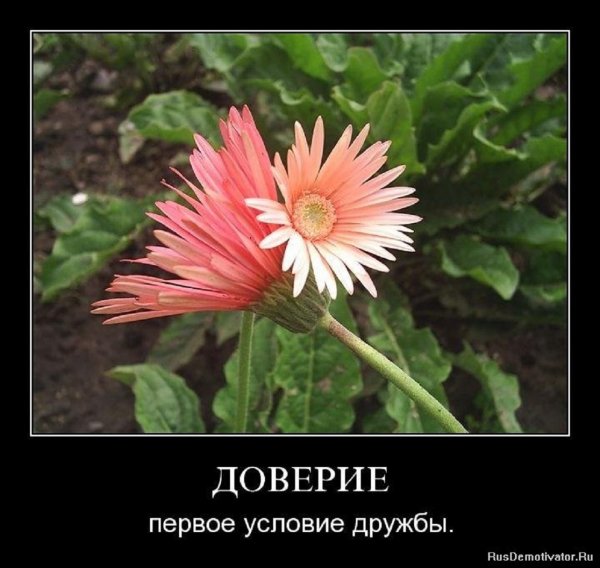 ДОВЕРИЕ