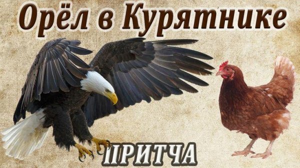 Орёл в Курятнике (Мудрая притча о предназначении человека и е