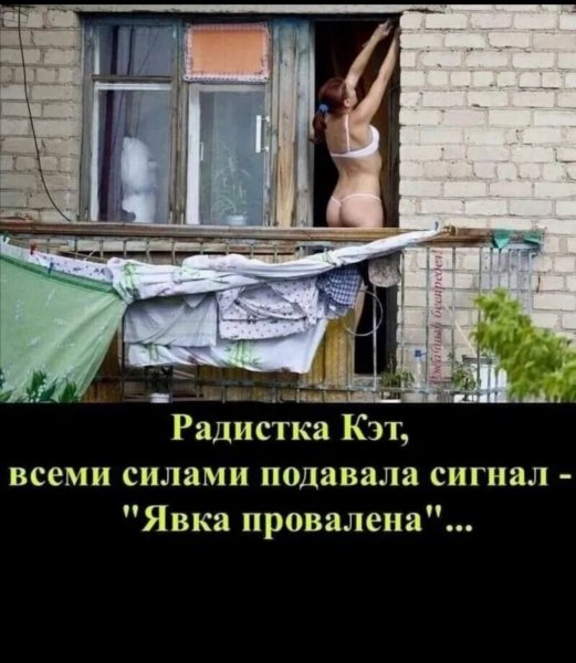 file_96226900